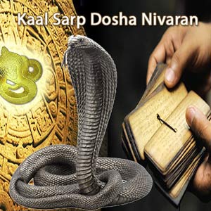Kaal Sarp Dosh Specialist Astrologer - Remove Kaal Sarp Yog Upay Remedies